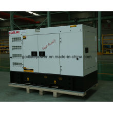 Fabrik Preis 50Hz Cummins 30kVA Diesel Generator (4BT3.9-G2) (GDC30 * S)